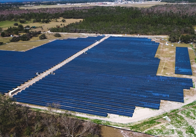 Solar panel array