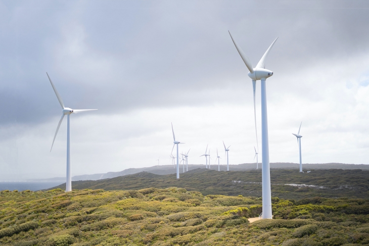 Windmills - Climate Resilience Background