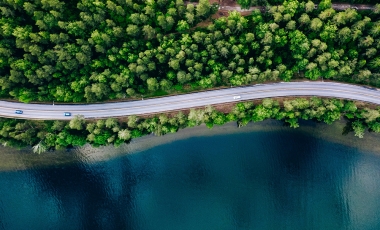 car driving through forest